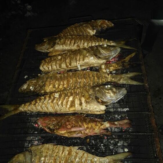 Fotos del hotel White Sand Lodge:  3