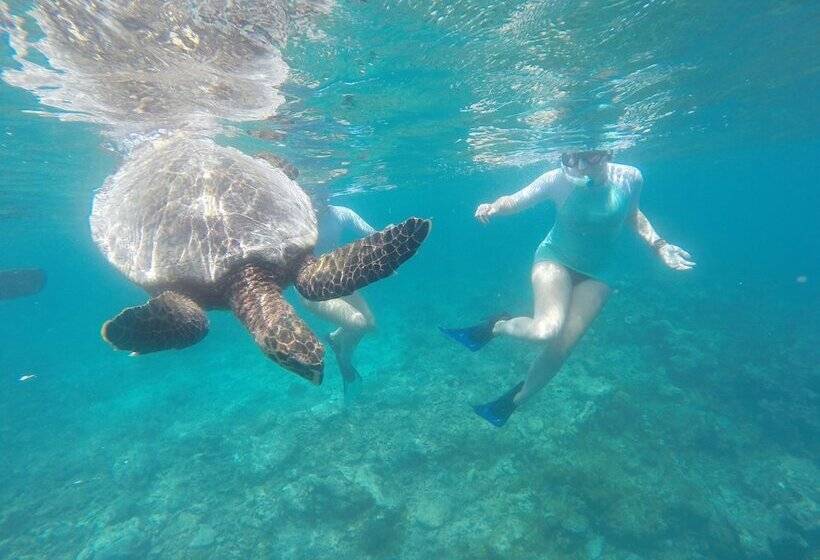 Fotos del hotel White Sand Lodge:  12