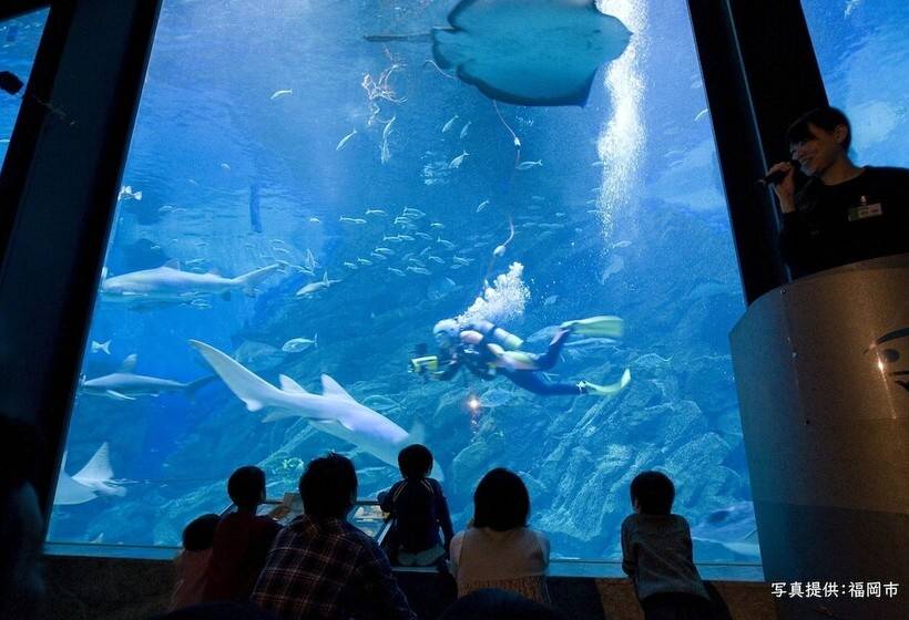 Fotos del hotel Toyoko Inn Hakata Gion:  2