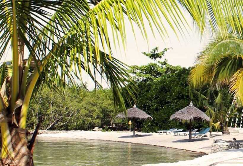 Fotos del hotel Whispering Palms Bungalow Resort:  8