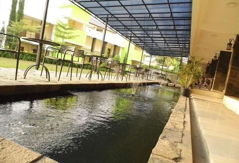 Fotos del hotel Deview:  4