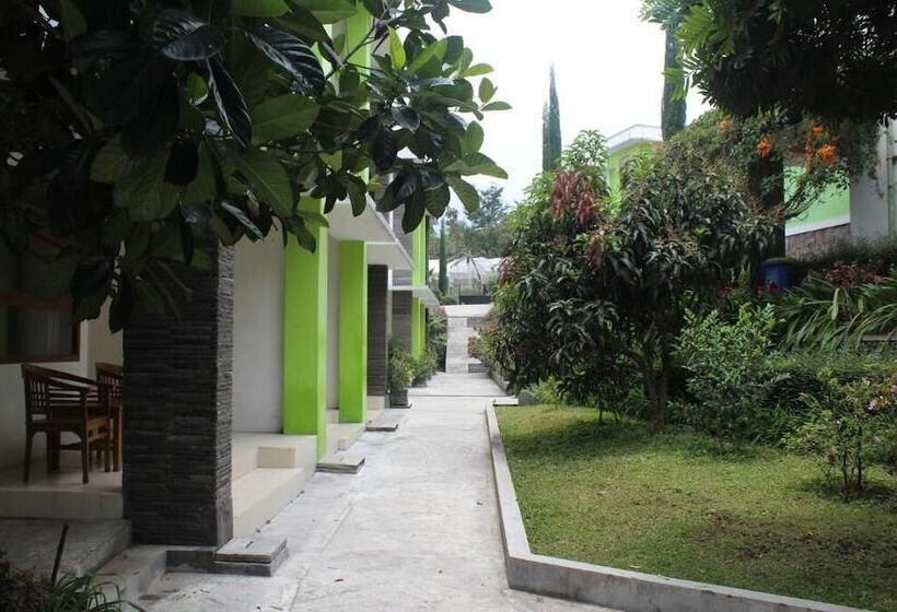 Fotos del hotel Deview:  6