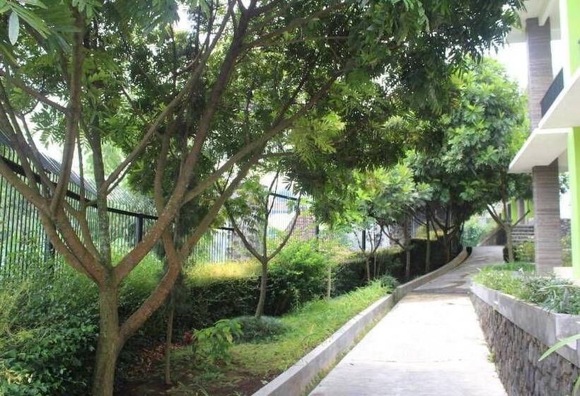 Fotos del hotel Deview:  25