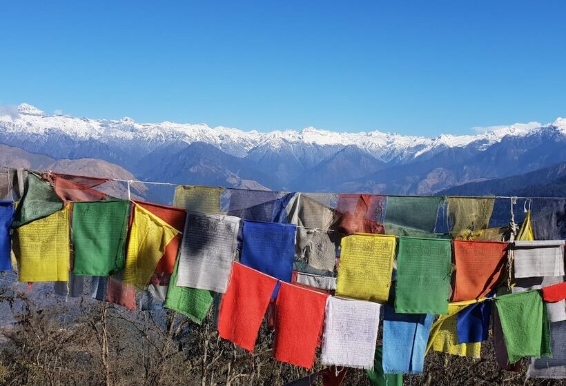 Fotos del hotel Rema Resort:  8