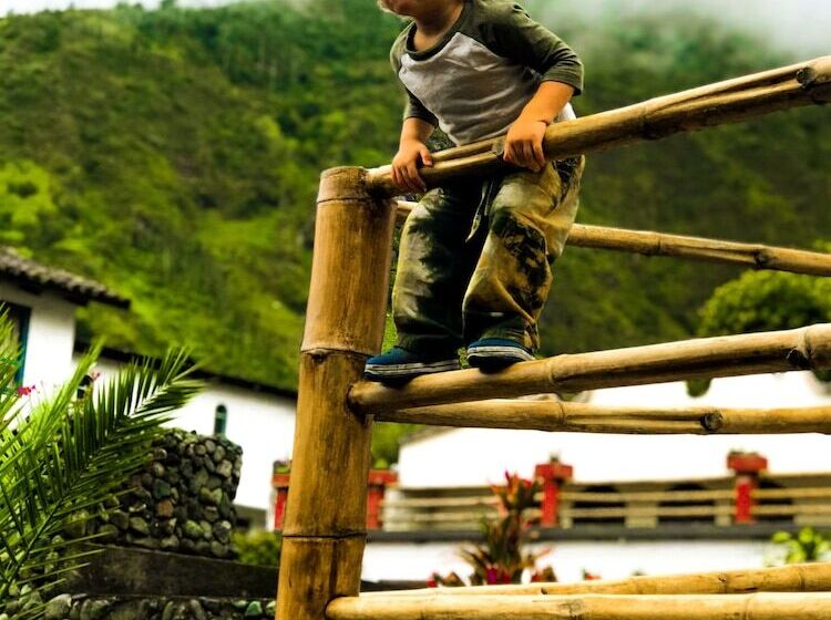 Fotos del hotel Casa Giralda:  23