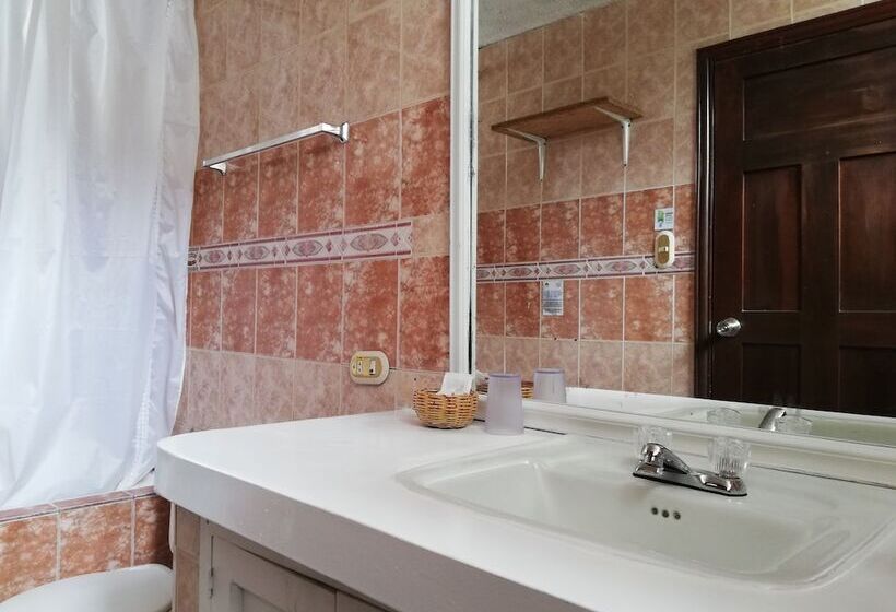 Fotos del hotel Casa Giralda:  8