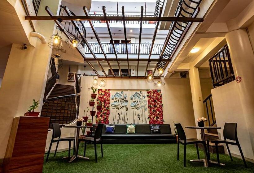 Fotos del hotel Kiwi:  6