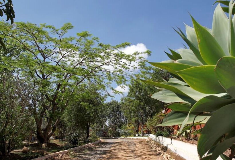 Fotos del hotel Relais Du Rova:  13