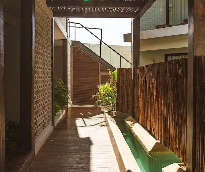 Fotos del hotel O Tulum  Adults Only:  3