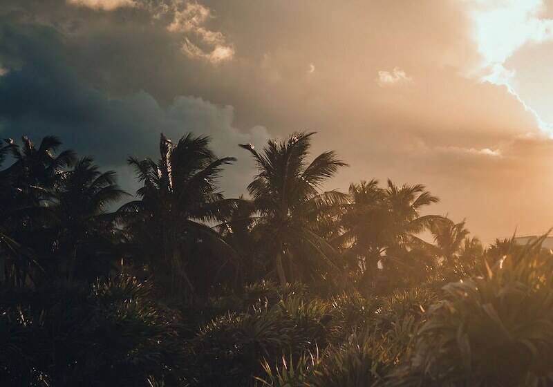 Fotos del hotel O Tulum  Adults Only:  20