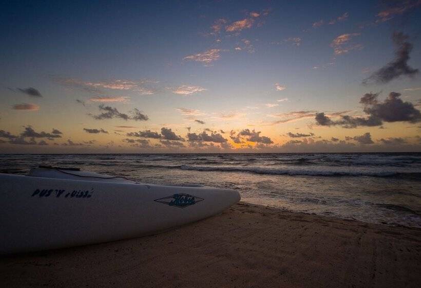 Fotos del hotel O Tulum  Adults Only:  18