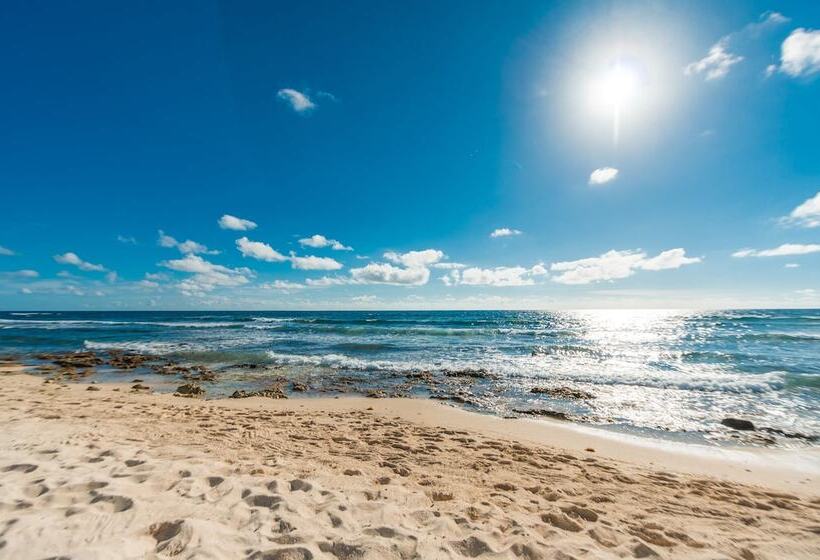 Fotos del hotel O Tulum  Adults Only:  19