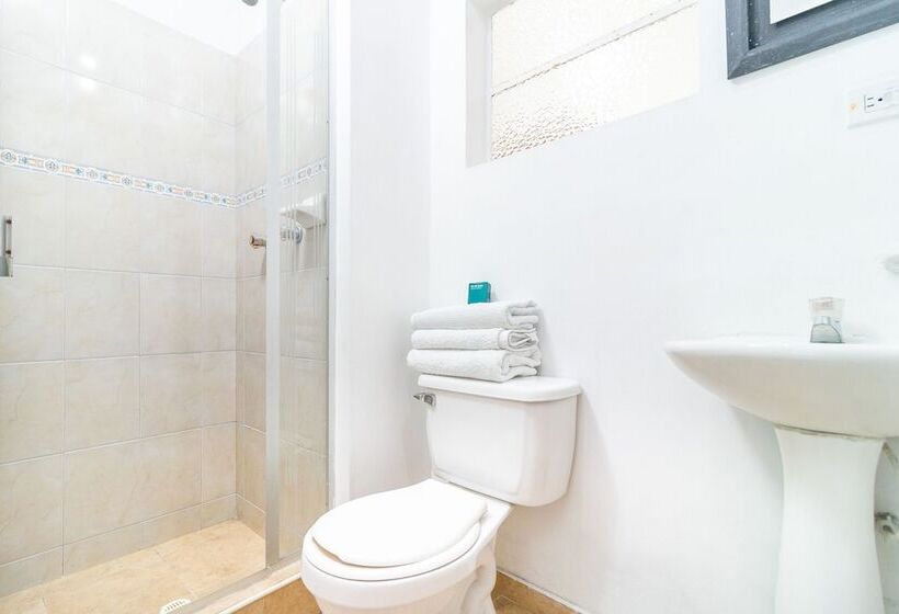 Fotos del hotel Palermo Plaza:  4