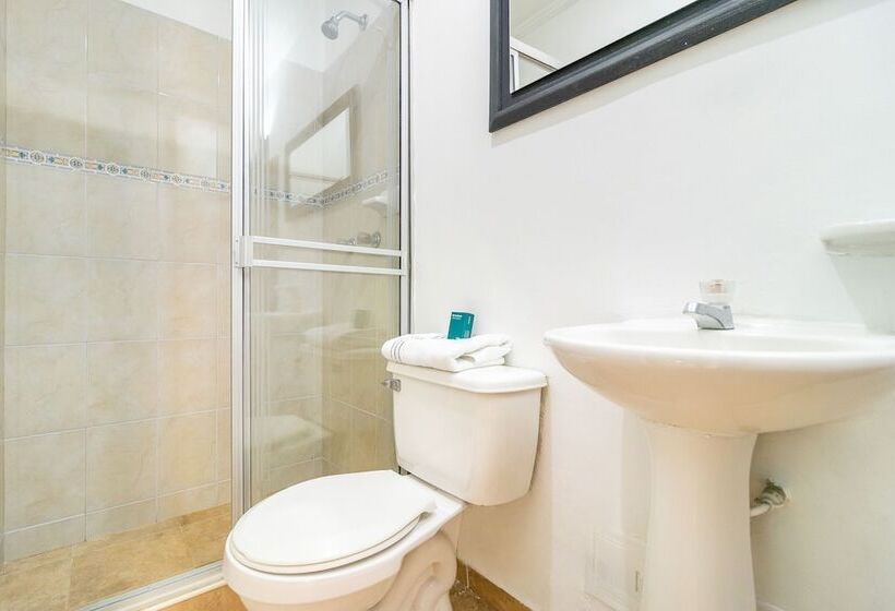 Fotos del hotel Palermo Plaza:  9