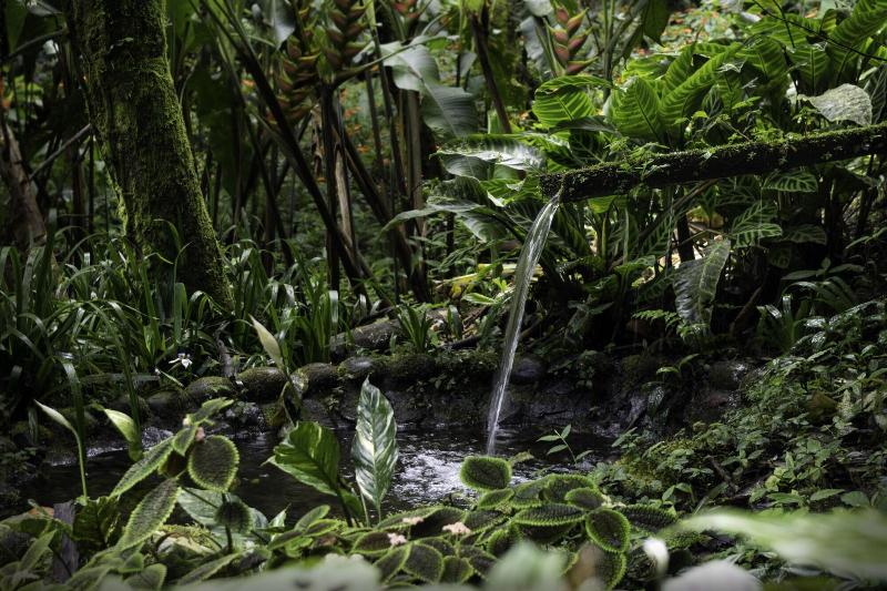 Fotos del hotel Casa Divina Lodge:  3