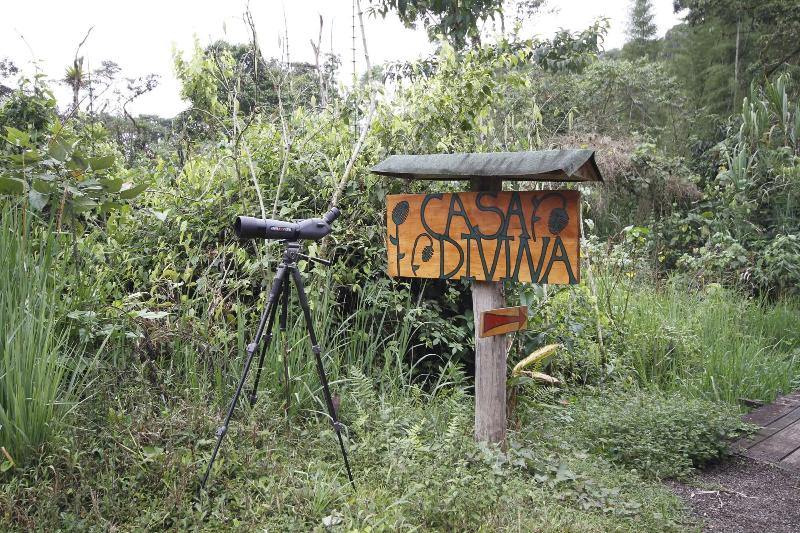 Fotos del hotel Casa Divina Lodge:  9