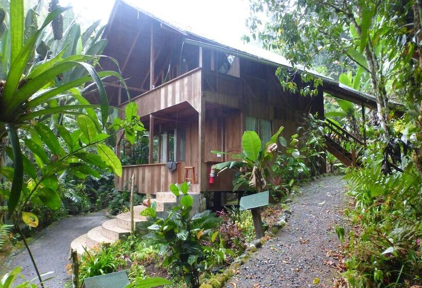 Fotos del hotel Casa Divina Lodge:  12