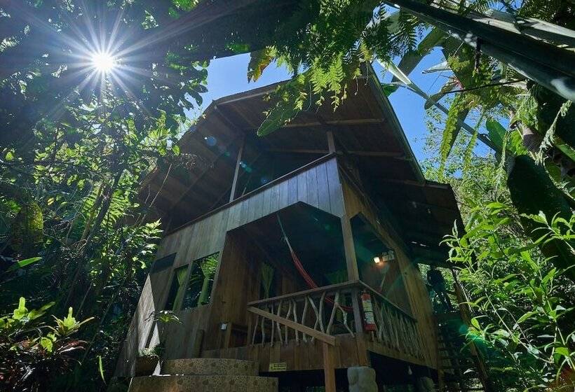 Fotos del hotel Casa Divina Lodge:  20