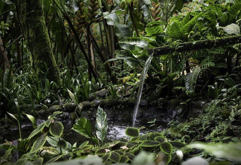 Fotos del hotel Casa Divina Lodge:  5