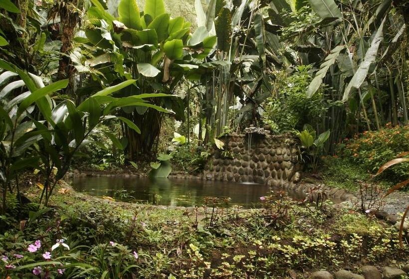 Fotos del hotel Casa Divina Lodge:  7