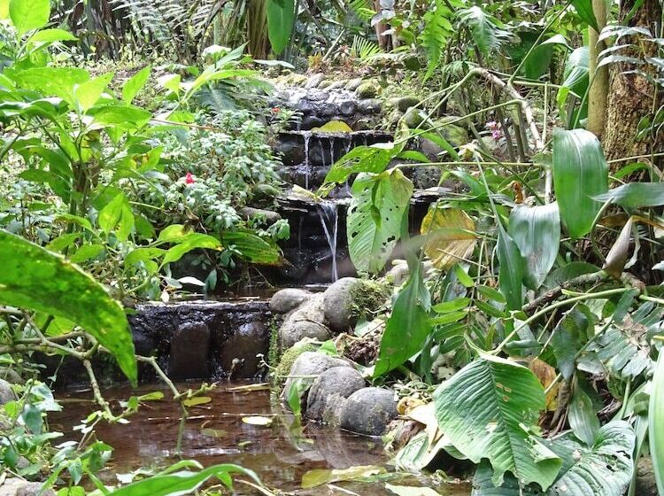 Fotos del hotel Casa Divina Lodge:  11