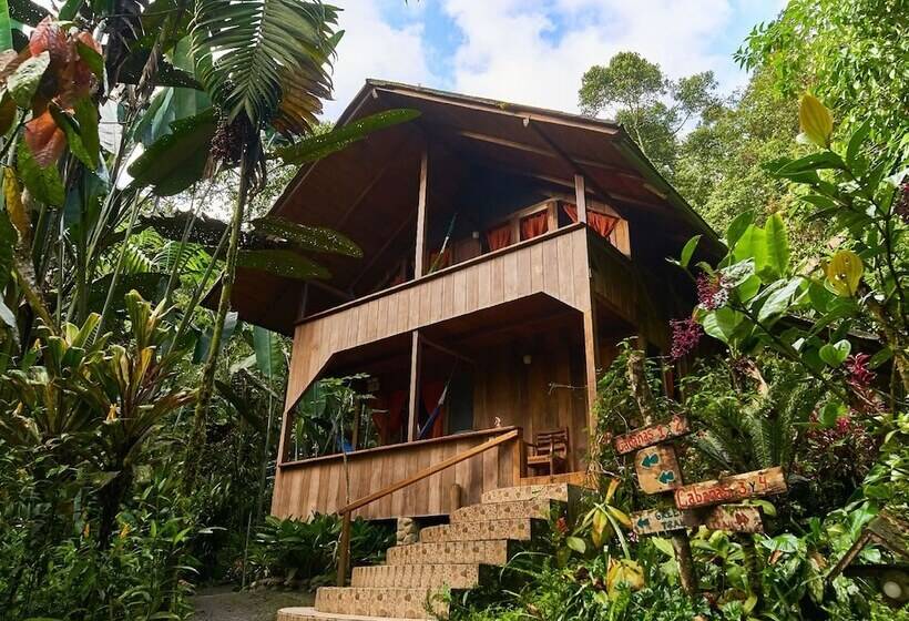 Fotos del hotel Casa Divina Lodge:  21