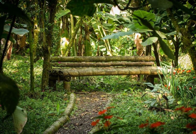 Fotos del hotel Casa Divina Lodge:  13