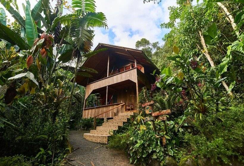 Fotos del hotel Casa Divina Lodge:  22