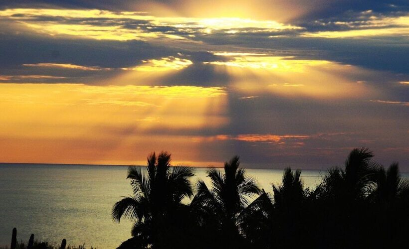 Fotos del hotel Villa Del Faro:  6