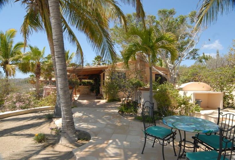 Fotos del hotel Villa Del Faro:  13