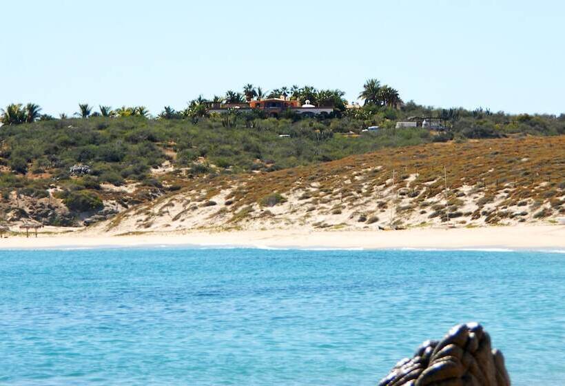 Fotos del hotel Villa Del Faro:  10