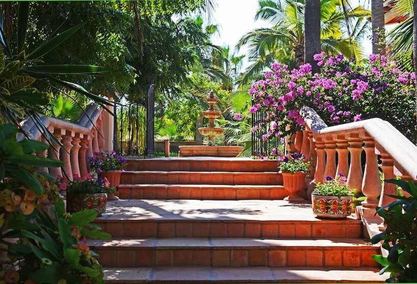 Fotos del hotel Villa Del Faro:  7