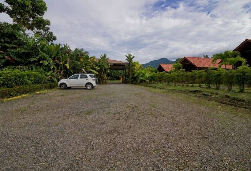 Fotos del hotel Arenal Green:  6