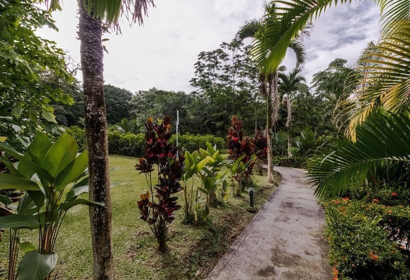 Fotos del hotel Arenal Green:  11