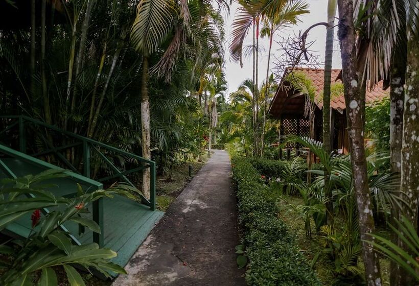 Fotos del hotel Arenal Green:  22