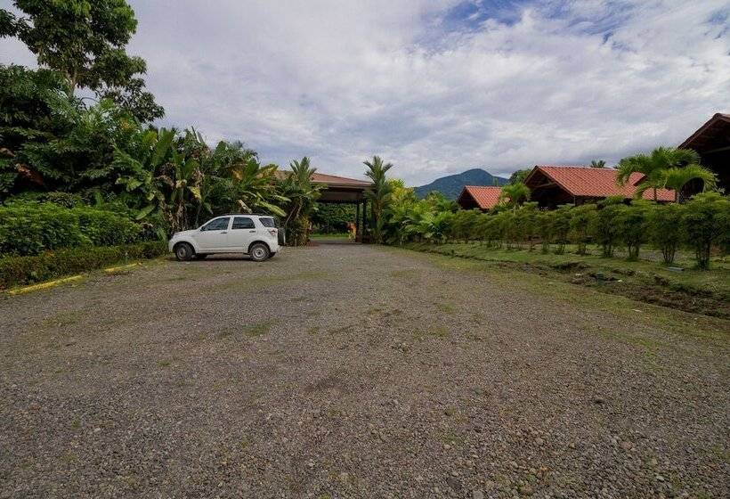 Fotos del hotel Arenal Green:  14