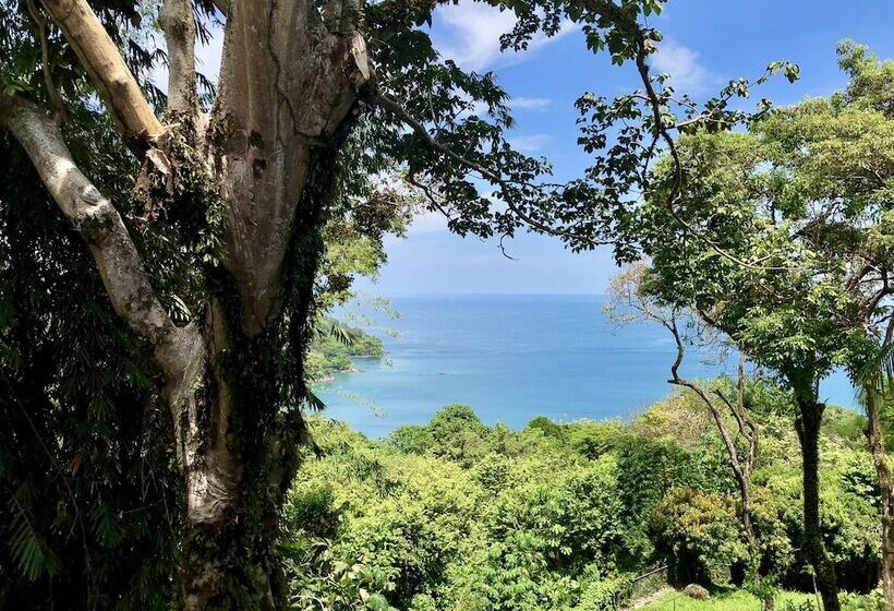 Fotos del hotel Mango Moon Villa:  12