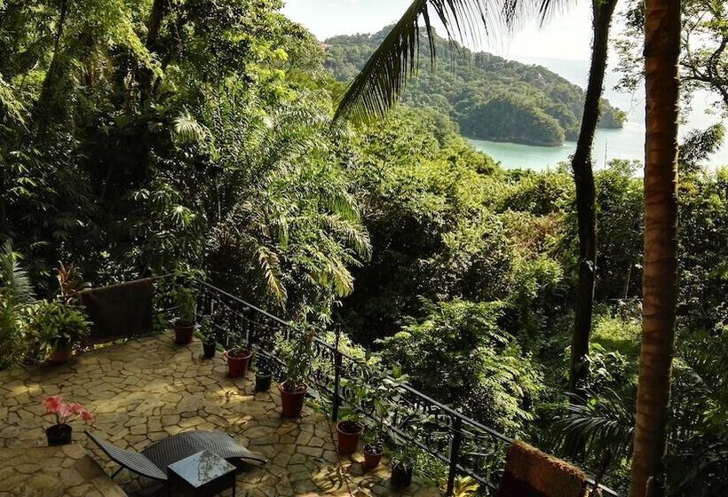 Fotos del hotel Mango Moon Villa:  20