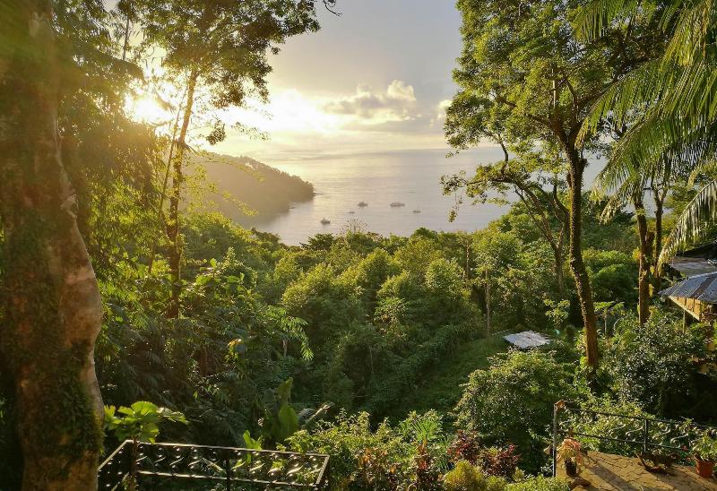 Fotos del hotel Mango Moon Villa:  14