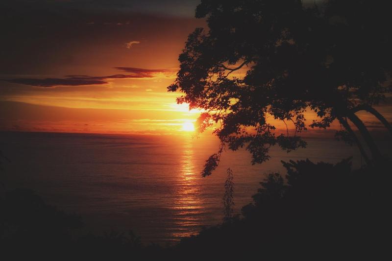 Fotos del hotel Mango Moon Villa:  22