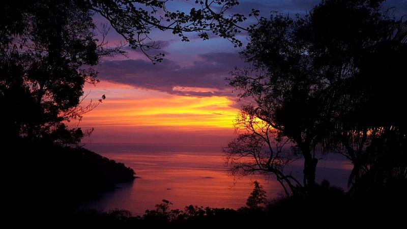 Fotos del hotel Mango Moon Villa:  16