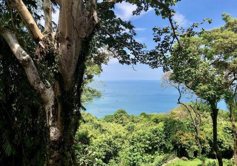 Fotos del hotel Mango Moon Villa:  11