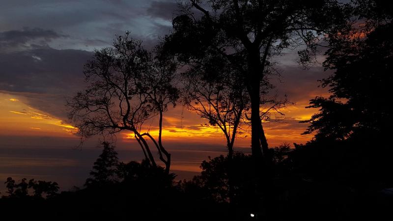 Fotos del hotel Mango Moon Villa:  17