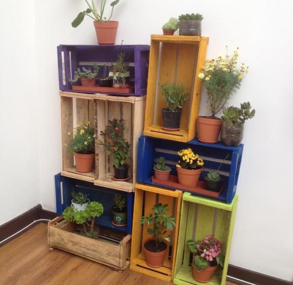 Fotos del hotel Ecomusic:  3