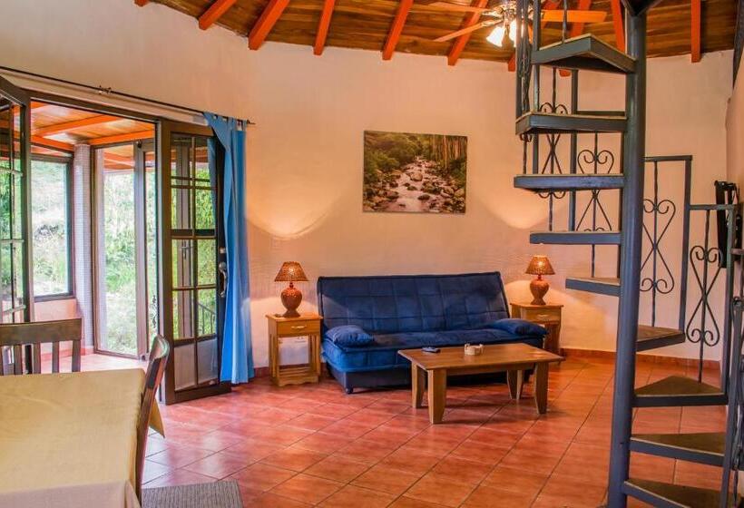 Fotos del hotel The Inn At Palo Alto:  10