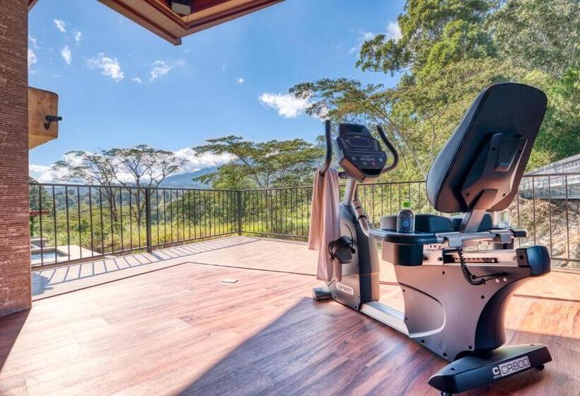 Fotos del hotel The Inn At Palo Alto:  8