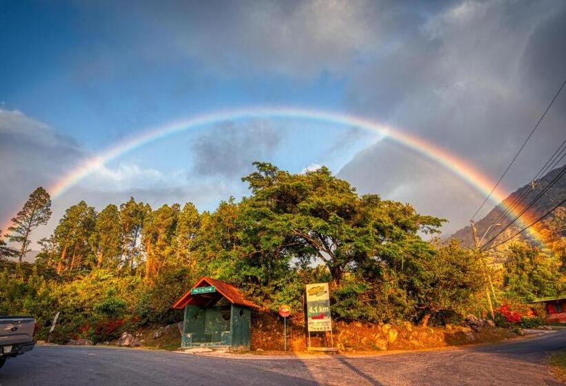 Fotos del hotel The Inn At Palo Alto:  21