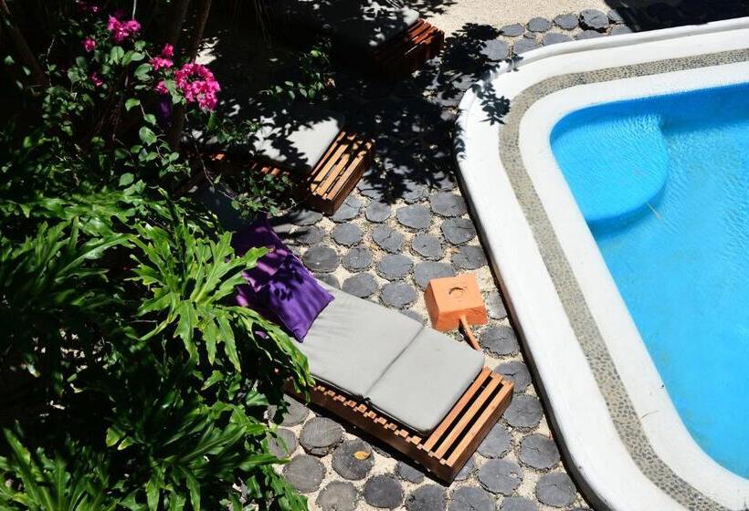 Fotos del hotel Villas Geminis Boutique Condo:  17