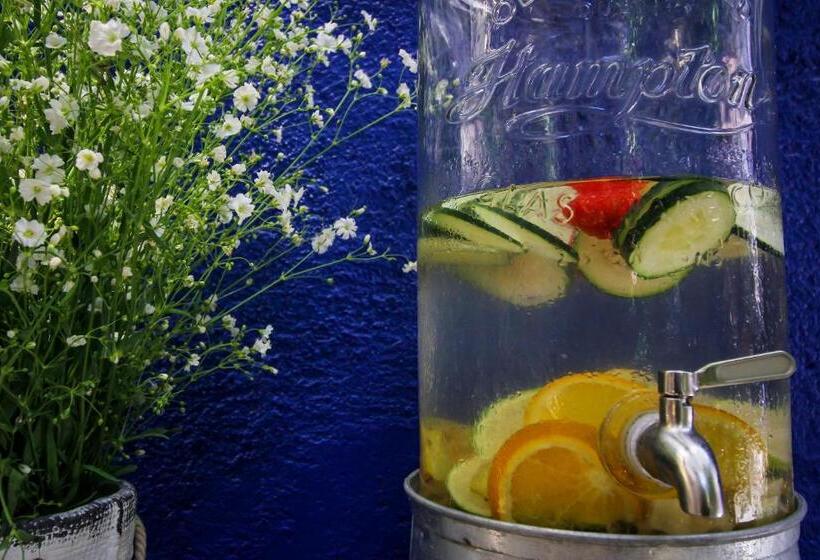 Fotos del hotel Villas Geminis Boutique Condo:  14