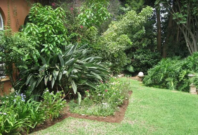 Fotos del hotel Treetops Guesthouse:  9